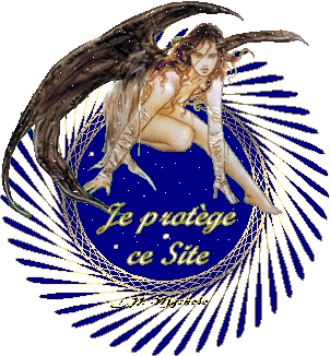 nous protégeon notre site vip ok les ami