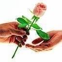 pour toi